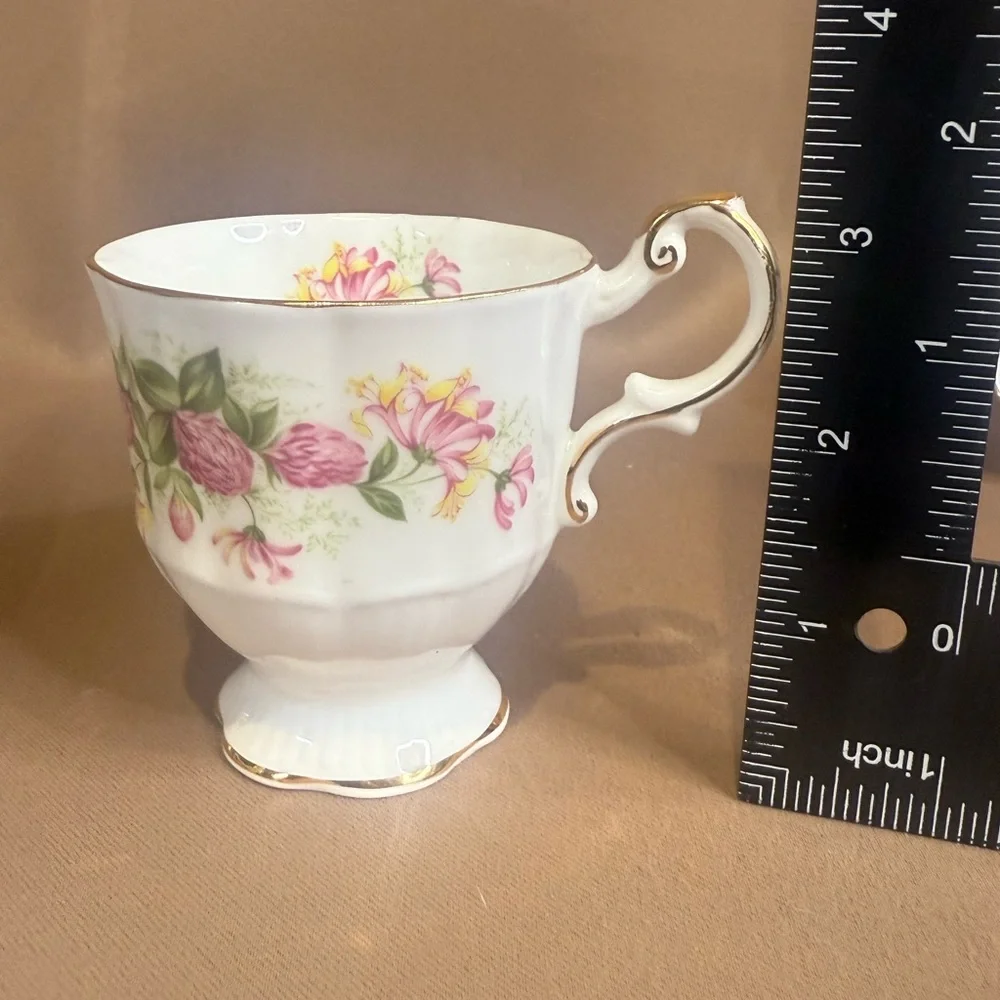 Rosina Fine Bone China Teacup - Picture 4 of 7